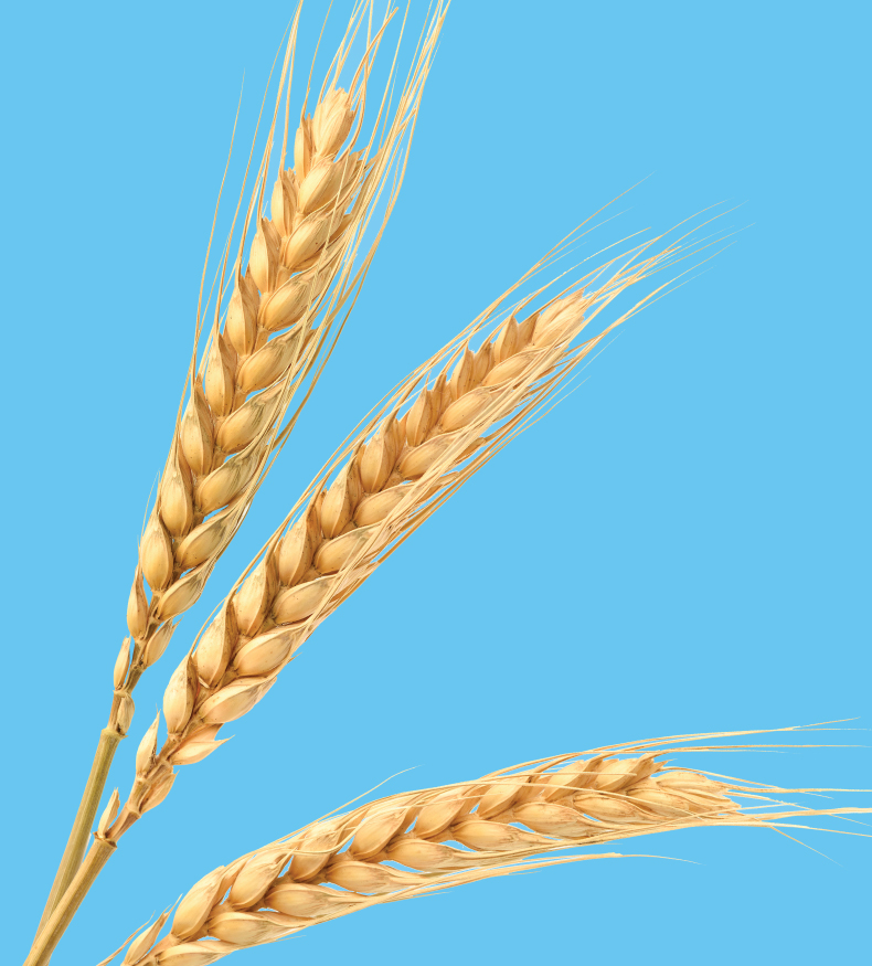 Godrej Agrovet